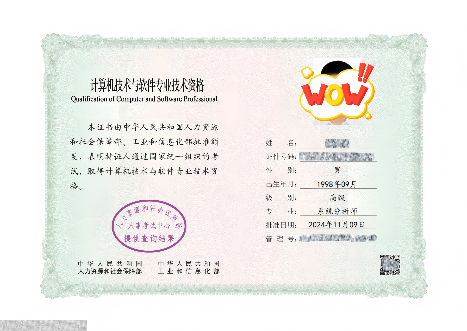 系统分析师